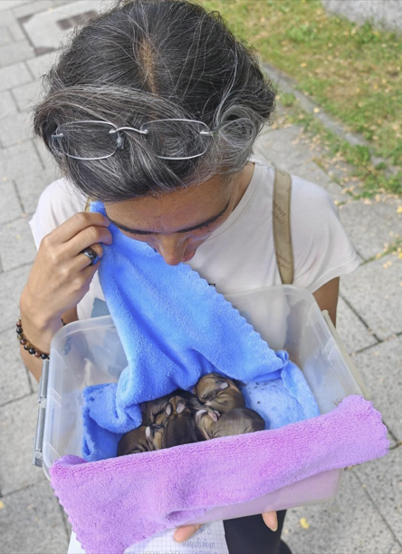 Agnès mit geretteten Katzenbabys